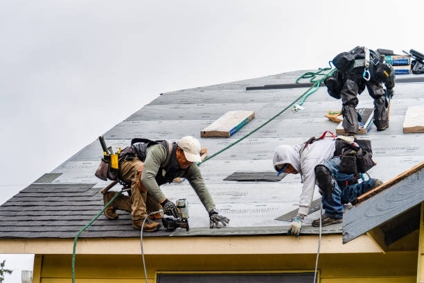 Professional Gutter Installation technician working in Carriere, MS